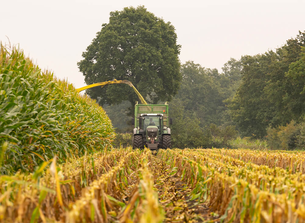 Agriculture & Forestry